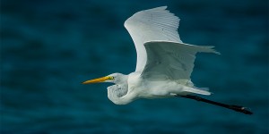 如何 hack Node.js 模块？