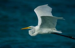 如何 hack Node.js 模块？